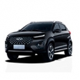 Упоры-амортизаторы капота CHERY Tiggo 2 Pro