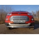 Рамка номерного знака Ford EcoSport (комплект) ТСС для Любые
