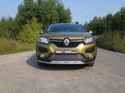 Накладка решётки радиатора нижняя 12 мм ТСС для Renault Sandero Stepway 2014-2018
