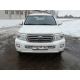 Защита передняя овальная длинная 75х42 мм ТСС для Toyota Land Cruiser 200 2012-2015