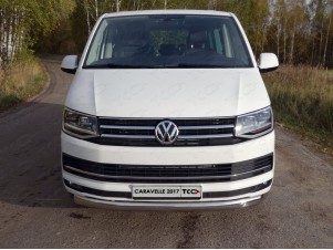 Защита передняя овальная 75х42 мм для Volkswagen Transporter T6 № VWTRANS17-04
